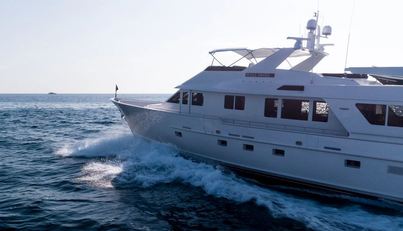 WELL DONE For Sale image10