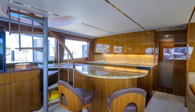 ON ICE For Sale image35