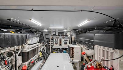 FIREFLY For Sale image67