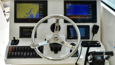 In Pursuit For Sale image12