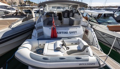 Martini Princess For Sale image55
