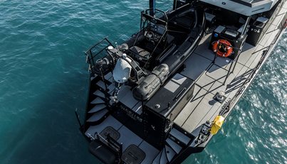 VANGUARD For Sale image9