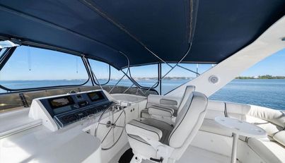 The Cotton Picker For Sale image11