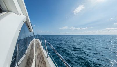 QUEEN B For Sale image9