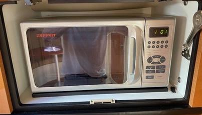 SEAHORSE For Sale image18