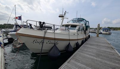 Lady Emily For Sale image37