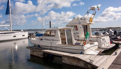 Maid of Erin For Sale image3
