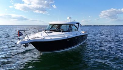 noname For Sale image4