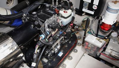 Baby Pie For Sale image57