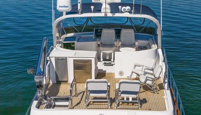 The Cotton Picker For Sale image7