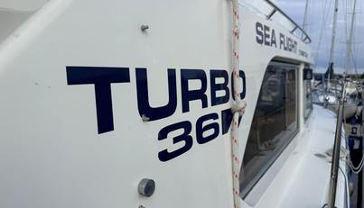 Sea Flight For Sale image19