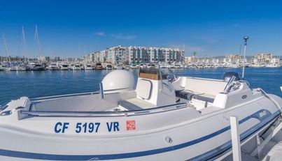 Active Octo For Sale image20