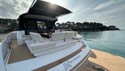 Kayenne For Sale image14