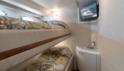 Octopi For Sale image66