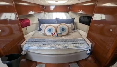 Fansea For Sale image30