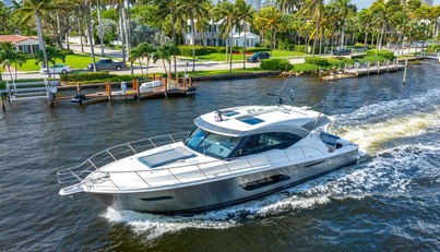 SAPPHIRE For Sale image13