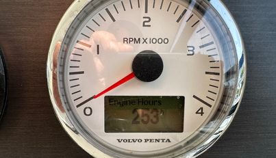 Moonlight Lady For Sale image23