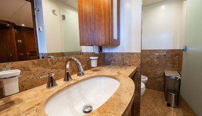 Firefly For Sale image31