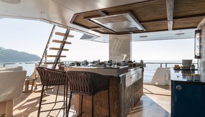 KING BENJI For Sale image17