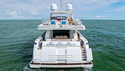 SHA SHA SHA IV For Sale image4