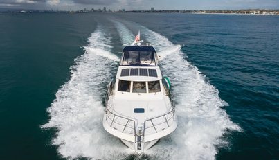 SILVIUS BRABO For Sale image15