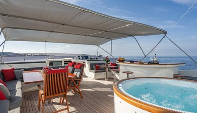 VIKING III For Sale image11