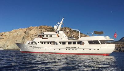 SEAGULL OF CAYMAN For Sale image11
