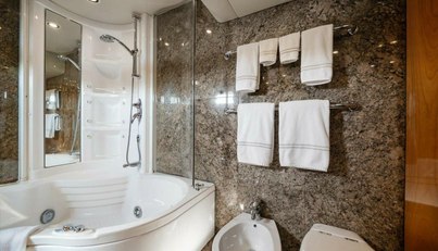 VANGUARD For Sale image26