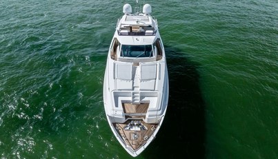 SHA SHA SHA IV For Sale image15