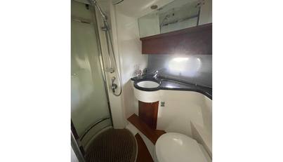Silver Fox For Sale image32