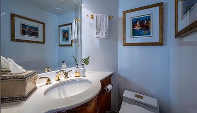 SHALIMAR For Sale image12