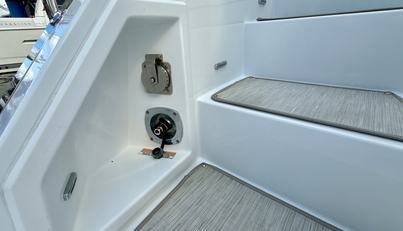 Tropical Dreamer For Sale image10