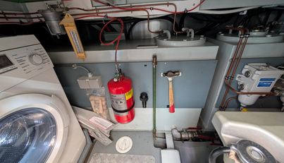 Lady Emily For Sale image22