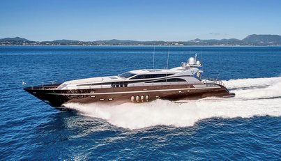 Bagheera For Sale image33