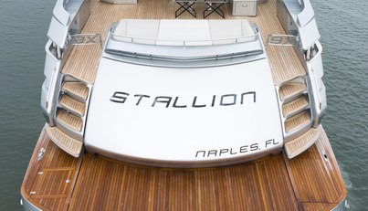 STALLION For Sale image25