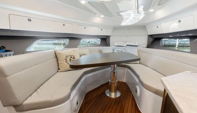 Salty Dog For Sale image24