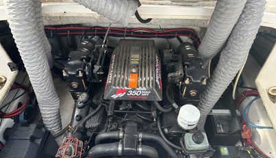 Cumazuare For Sale image12