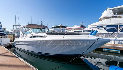 Sea Oddity For Sale image2