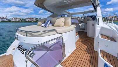 Alegria For Sale image11