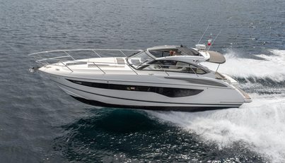 Bozzie For Sale image4