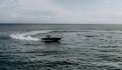 F11 For Sale image8