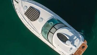 Eurybia For Sale image17