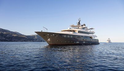 Lady Trudy For Sale image49