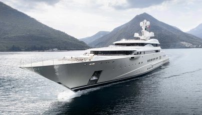 Pelorus For Sale image10
