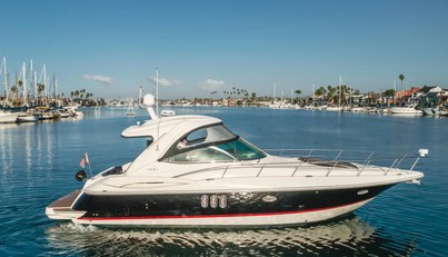 Eurybia For Sale image9