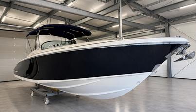 LADY SARA For Sale image1