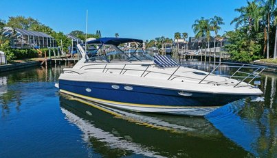 YAELI For Sale image3