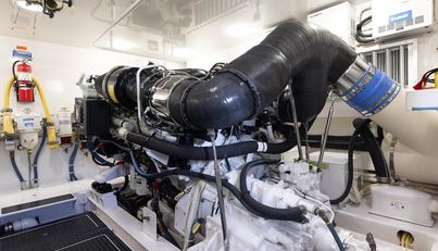 MODERATION For Sale image47