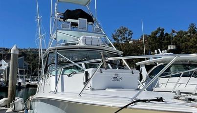 Beer Money For Sale image5