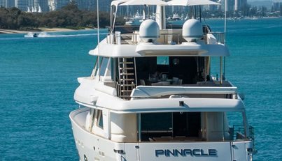 Pinnacle For Sale image31